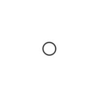 Anschutz Fortner Del 13 forsikte Gummi O-Ring V2/V3