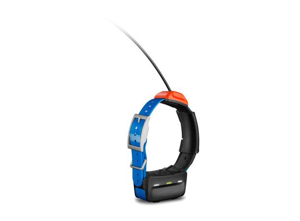 Garmin Astro T5 halsbånd