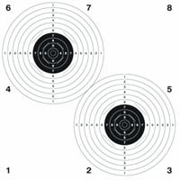 Skive Tvillingskive 100m 60cm 