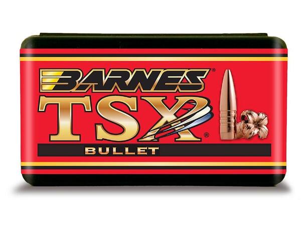 Barnes cal .375 -  235grs TSX