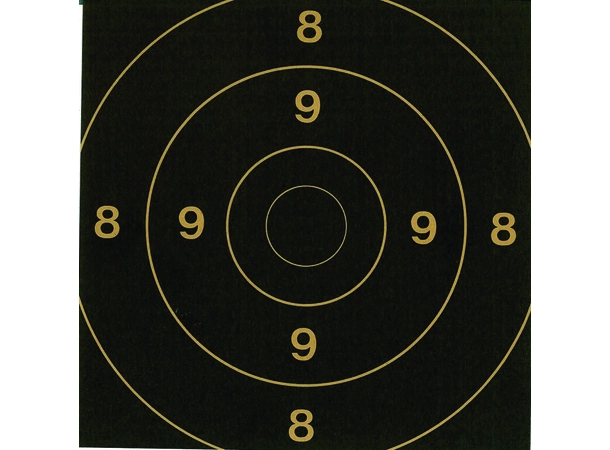 Skive Innstikk 100m 17x17