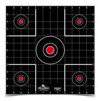 Skive Dirty Bird 12" Sight-In Target 