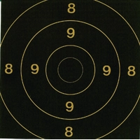 Skive Innstikk 200m 25x25 