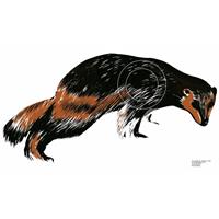 Skive Jerv 105 x 43 cm Papir 