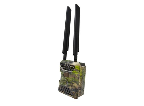 Viltkamera Brecom CM4000 4G, 12MP mms/email