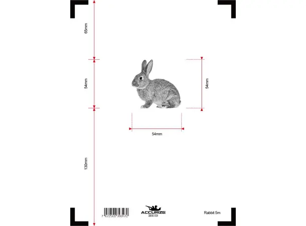 Accurize skive Hare 5m