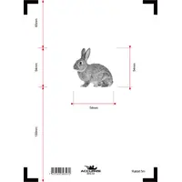 Accurize skive Hare 5m 