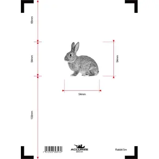 Accurize skive Hare 5m
