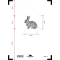 Accurize skive Hare 5m