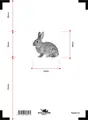 Accurize skive Hare 5m