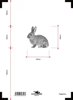 Accurize skive Hare 5m