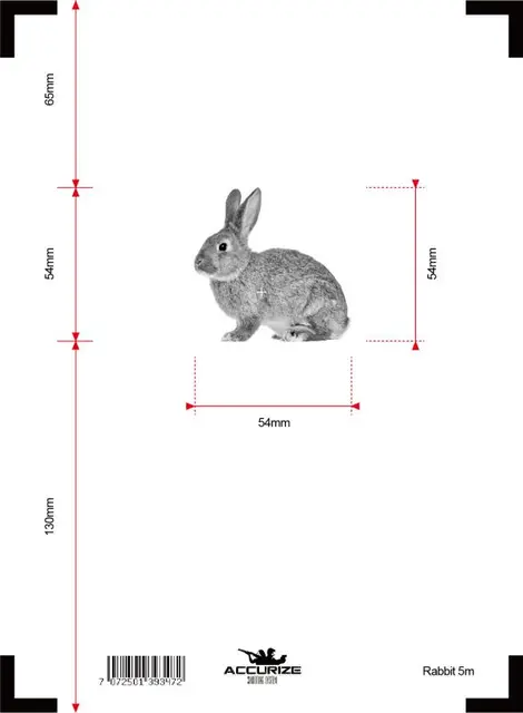 Accurize skive Hare 5m 