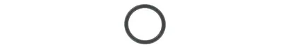Anschutz Fortner Del 13 forsikte Gummi O-Ring V2/V3 