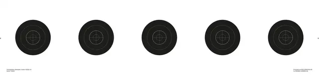 Skive Skiskytter 5-blink 102x24 Trainer (250pk) 