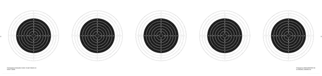 Skive Skiskytter 5-blink 10 delt 102x24 (250pk) 
