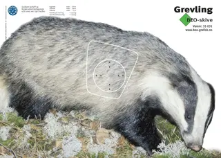 Skive BEO Grevling (70x50cm)