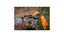 Caldwell AccuMax Rail tofot 13&quot;-30&quot; for picatinny rail, 33 - 76 cm