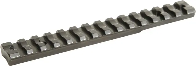 Eaw Picatinny skinne for Sauer 202 Magnum 20MOA 