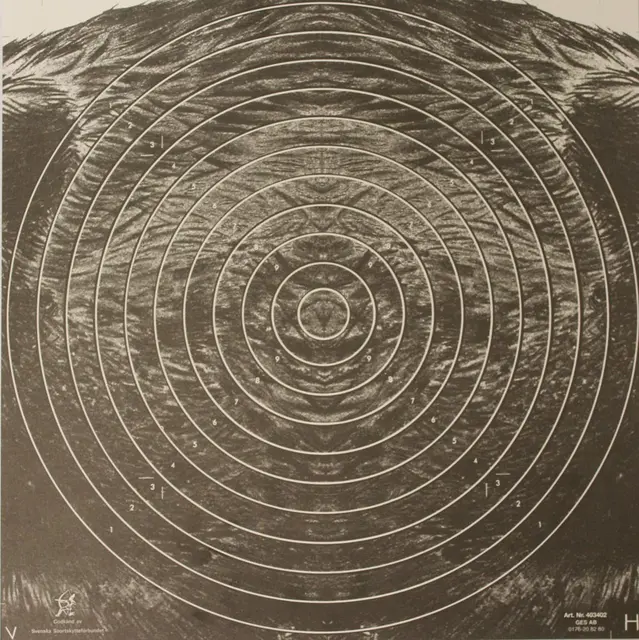 Skive Villsvin treff høyre (38x38) 