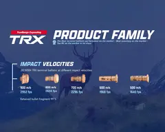 Lapua 300 Win Mag 10,7/165grs TRX