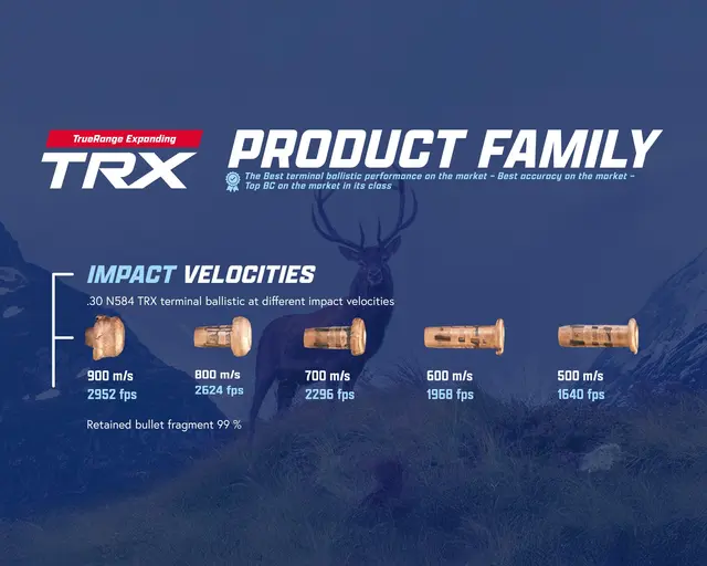 Lapua 30-06 10,7/165grs TRX 