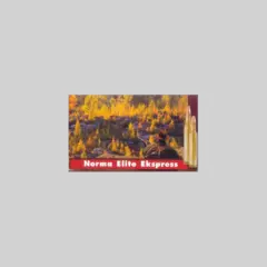 Norma 308 Win 11,4g / 175gr Elite Express