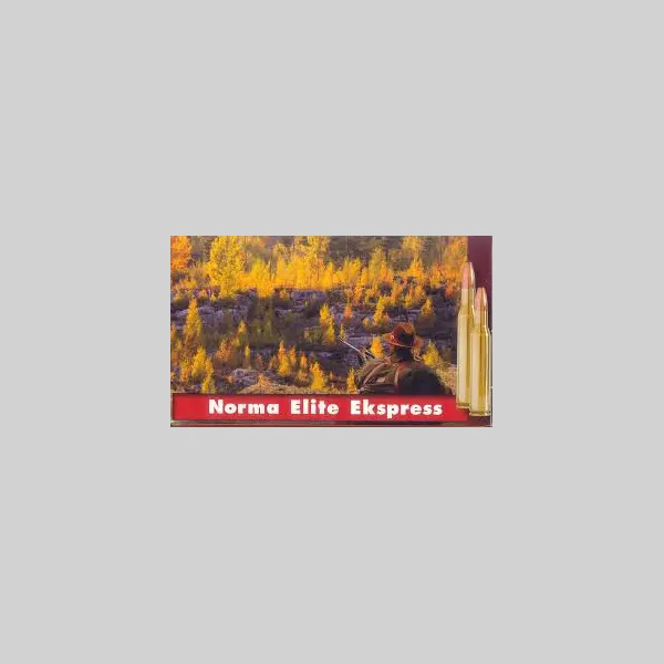 Norma 308 Win 11,4g / 175gr Elite Express 