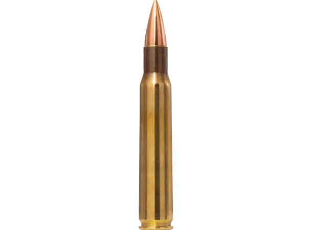 Norma 30-06 9,7g / 150gr Range & Training 