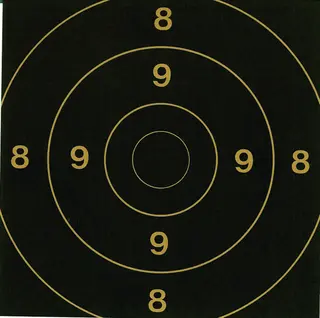 Skive Innstikk 100m 17x17