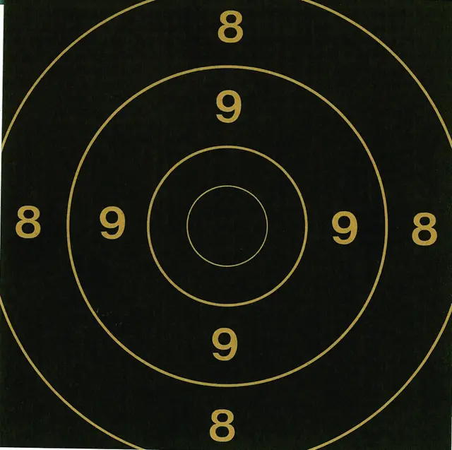 Skive Innstikk 100m 17x17 