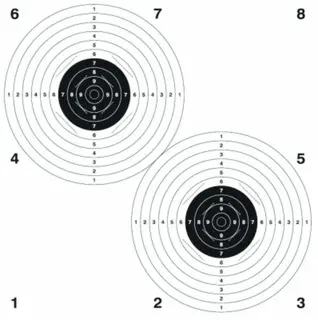 Skive Tvillingskive 100m 60cm