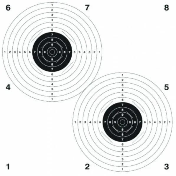 Skive Tvillingskive 100m 60cm 